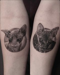 Tier-Tattoo Nachstechen bei echten Profis